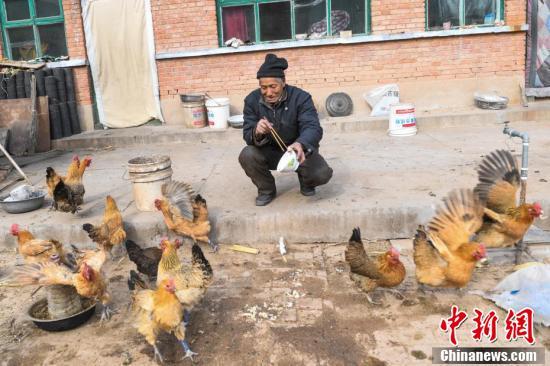 校园兼职薪资方案，平衡学习与收益的智慧之选