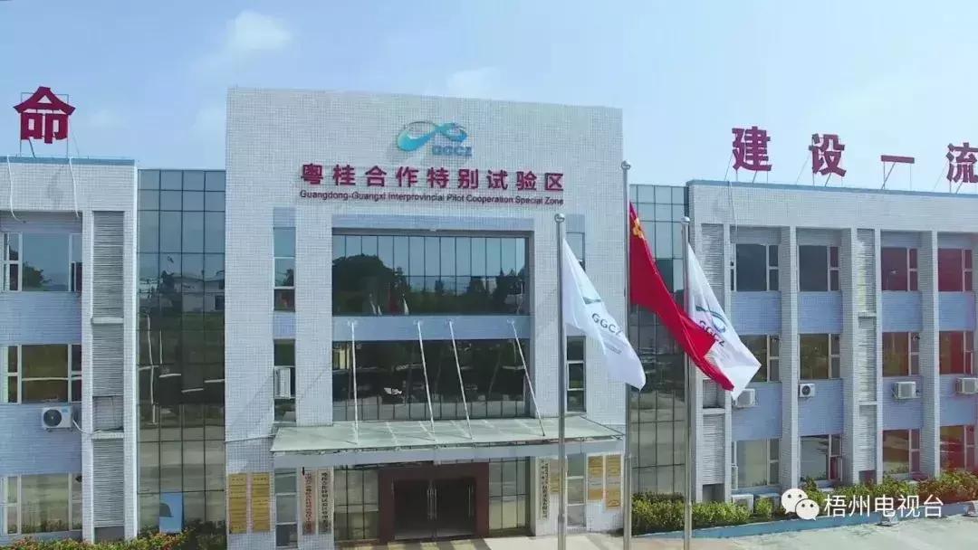 探索中国黄金基础行情，洞悉市场脉动与投资机遇