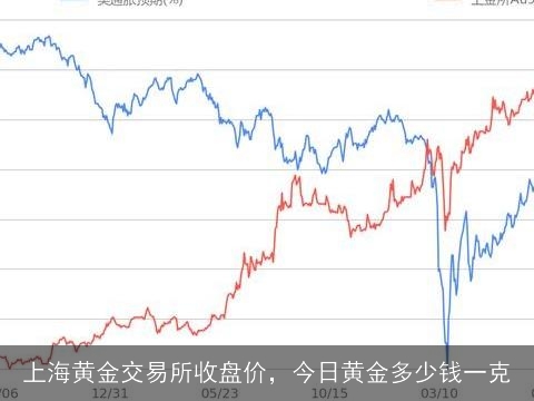 今日金价，上海黄金交易所实时行情解析与投资策略