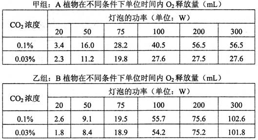 排列三近100期试机号推荐策略与数据分析