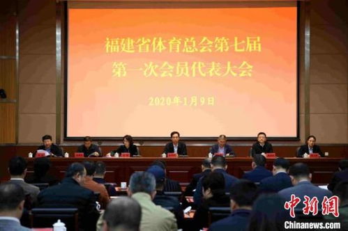 福建体官方网官方网站