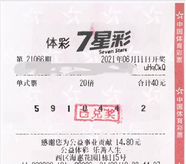 今日三地开奖号码，金码293期的精彩揭秘