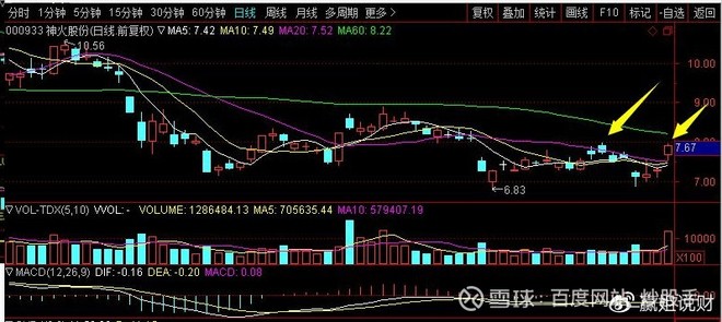 预测第二天涨停的指标，深度解析与实战应用