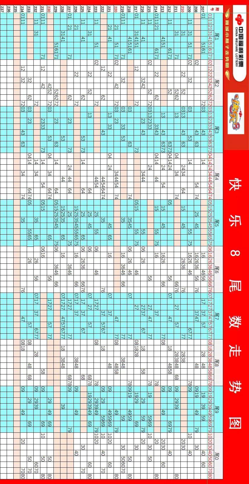 探索中国体彩网官网首页走势图，数字背后的智慧与机遇