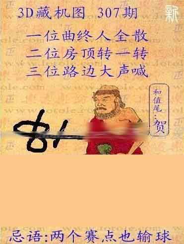 探索3D藏机诗图的奥秘，正版藏图的艺术与魅力