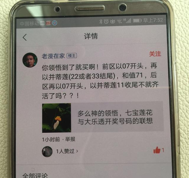 探索大乐透彩票中奖的奥秘，一份详尽的中奖结果查询指南