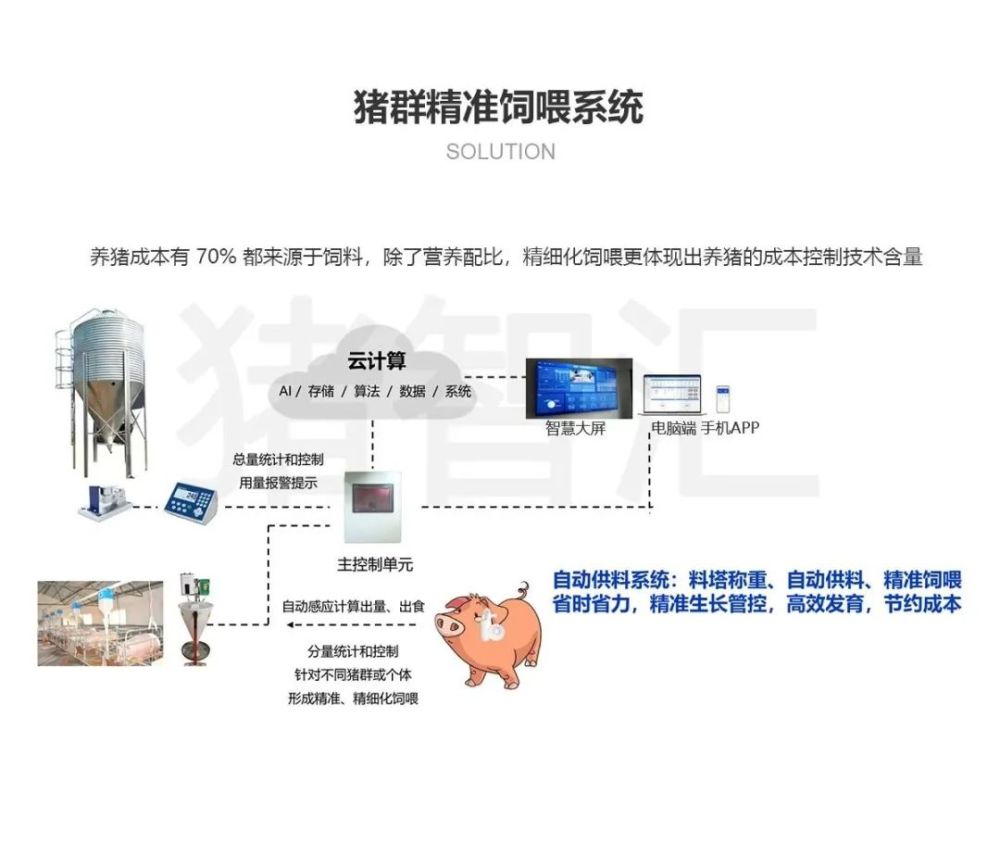 排列五今晚预测，科学分析与智慧结合的精准预测策略