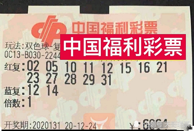 2023澳门今晚开奖结果揭晓，幸运与梦想的碰撞