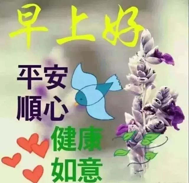 九月星野 第164页