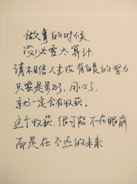 2019年3D白天鹅图库，数字艺术与自然之美的完美融合