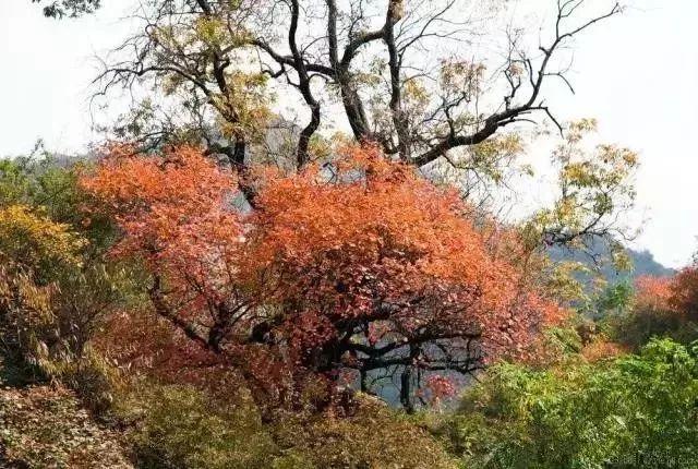 燕赵风采20选五，数字的魅力与生活的智慧