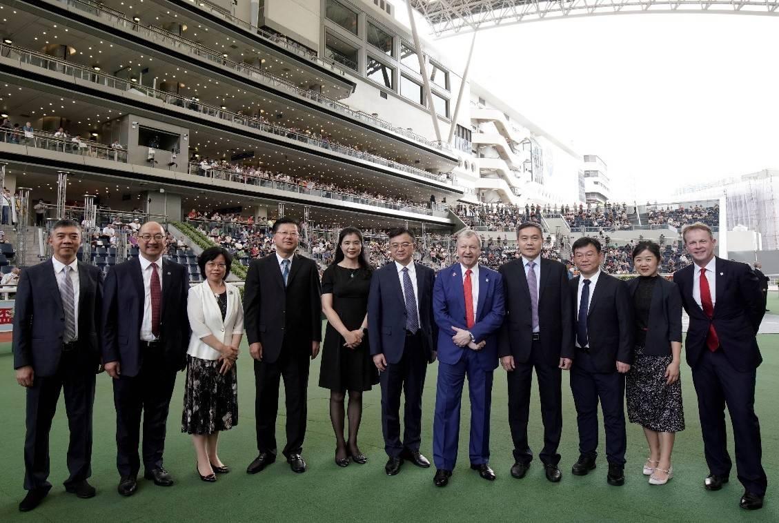 2019香港马会资料大全，免费获取与深度解析香港2021年马会资料大全