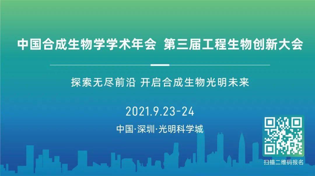 探索未来教育，新奥2046正版资料大全的全面解析2025年正版资料免费大全