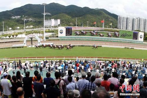 2041年香港马会内部免费资料，揭秘与解读香港马资料大全2019