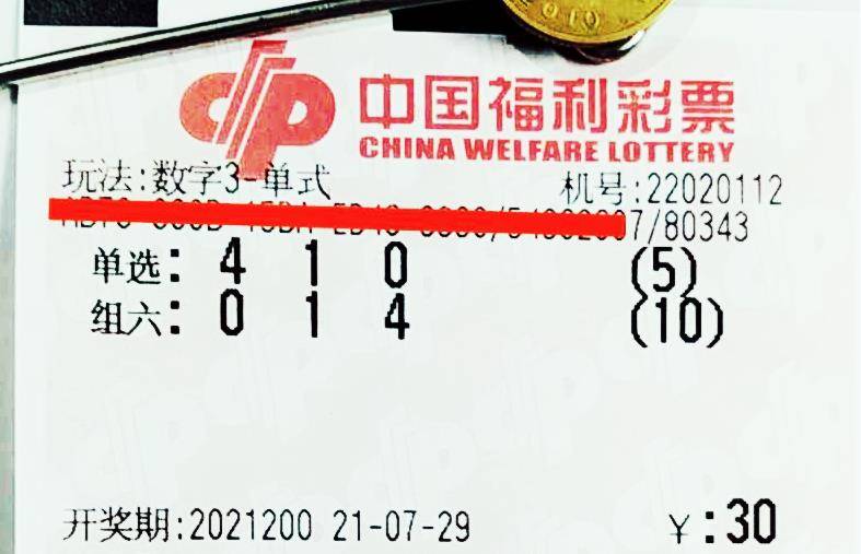 今晚特马开奖，揭秘背后的概率与期待今晚开特马开奖结果+开奖结果