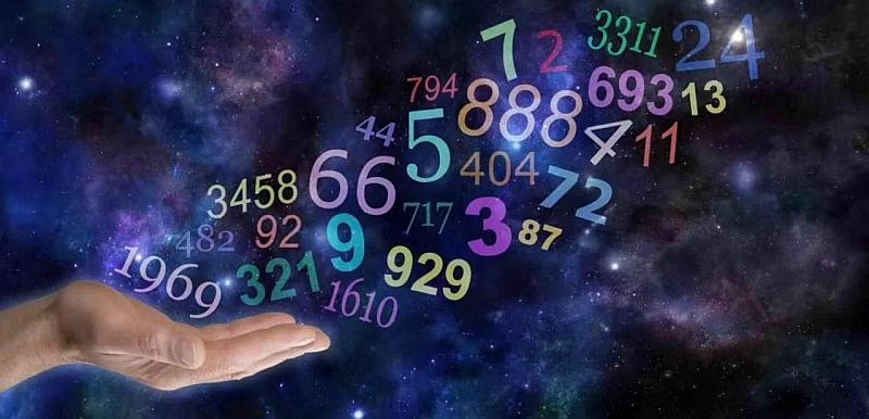 百万图库，数字时代的视觉盛宴百万图库最正确的生肖