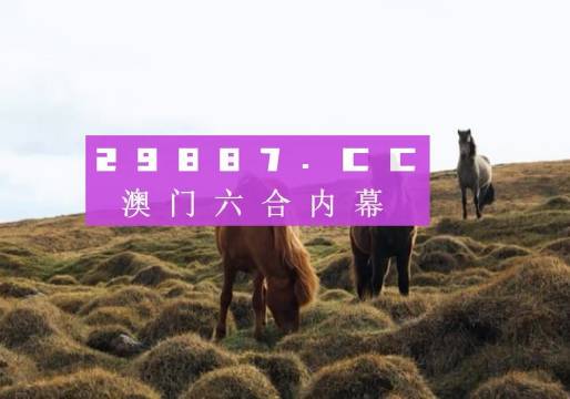 澳门开奖新篇章，203年回顾与展望新老澳门开奖结果2023开奖记录今晚
