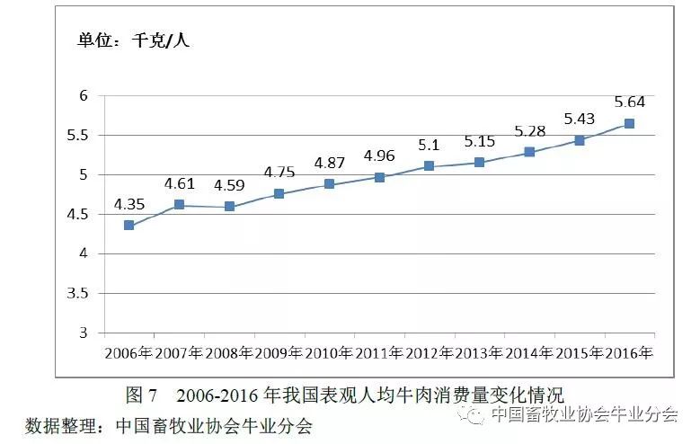 澳门六开奖，204年回顾与未来展望6开彩开奖结果查询澳门