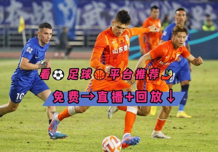 探索新奥门开奖直播，揭秘时间安排与视频获取指南新澳门开奖