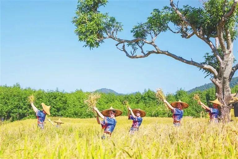 探秘新奥门开奖直播，今日揭晓的数字游戏与视频魅力奥门开奖现场直播结果+开奖结果