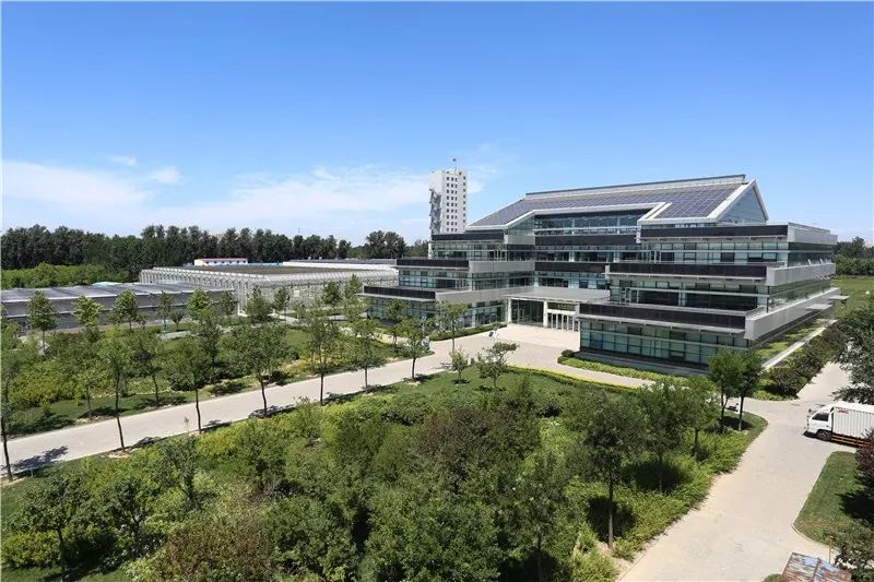探索新奥门开奖直播，回放观看指南与最新一期动态新澳门开奖
