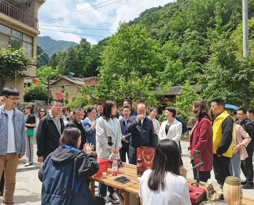 探索新奥门开奖直播，回放观看与今日节目预告全攻略新澳门开奖直播